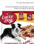 Lucky Dog email