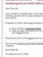 Lucky Dog email