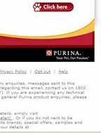 Lucky Dog email